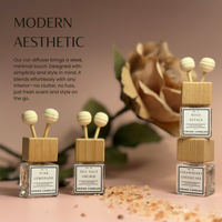 Sandalwood Car Diffuser