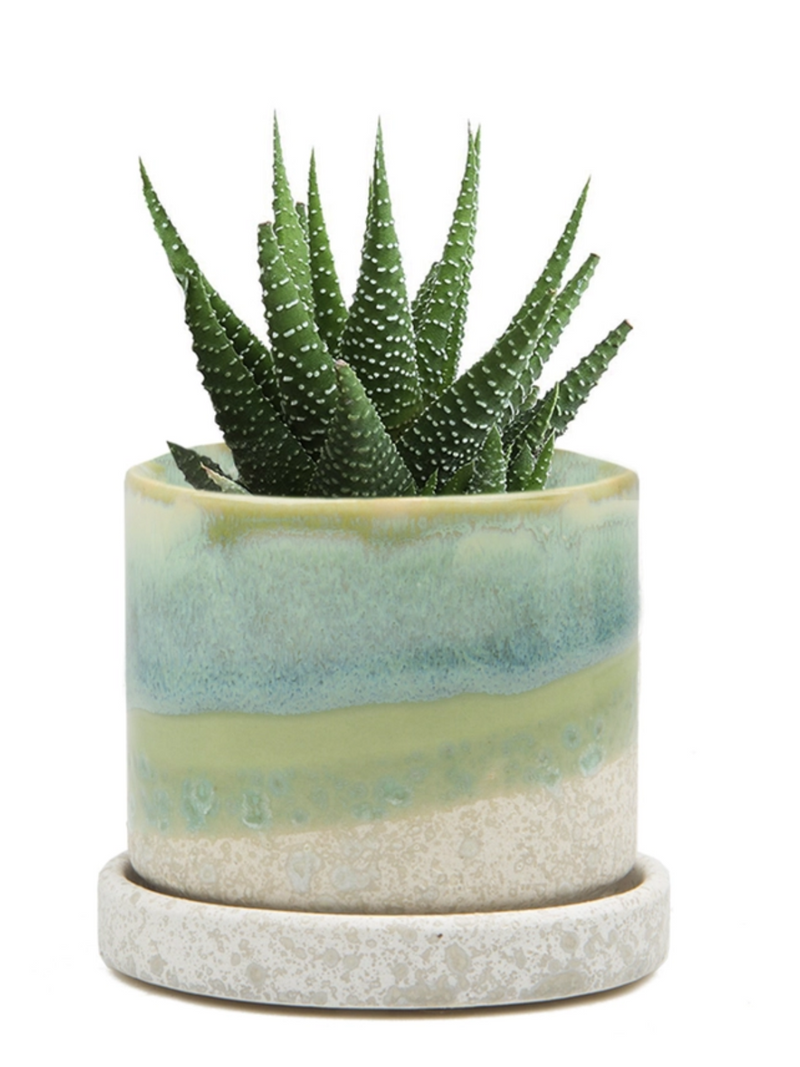 Cement Green Ceramic Plant Pot and Saucer
