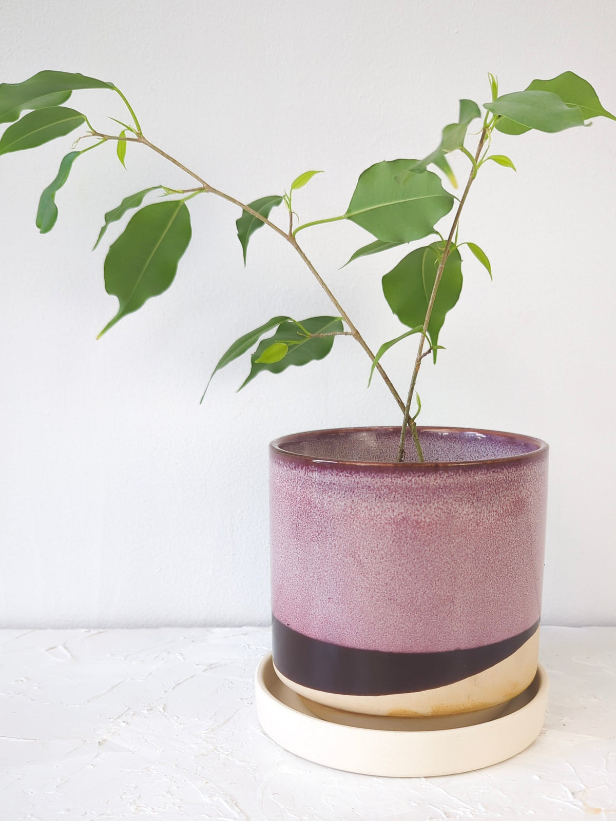 Burgundy Ceramic Plant Pot and Saucer