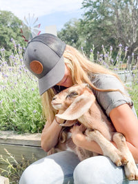 Farmhouse Artisan Goat Milk & Tallow Soap Collection