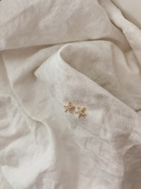 Tachuelas de estrella de mar