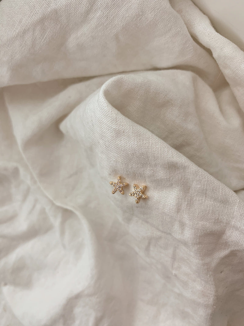 Tachuelas de estrella de mar