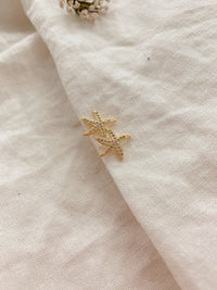 Tachuelas de estrella de mar