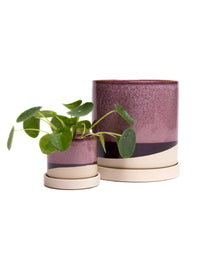 Burgundy Ceramic Plant Pot and Saucer