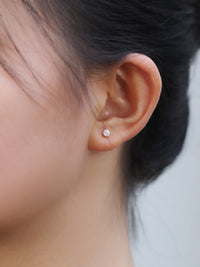 Color Palette Dangle Stud Earrings