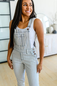 Mono de rayas de ferrocarril