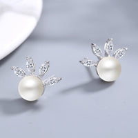 ff238c4a-aa8a-4711-abd2-7977f5cd5c83-Max